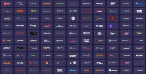 realraven casino providers